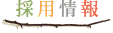 �̗p���